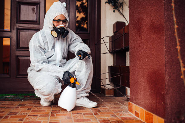 Reliable Cockroach Control contractor in Sebastian, TX by Nex Pest Control